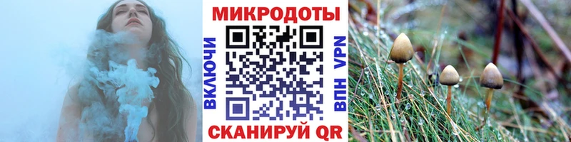Псилоцибиновые грибы Psilocybe  где купить   Тихвин 