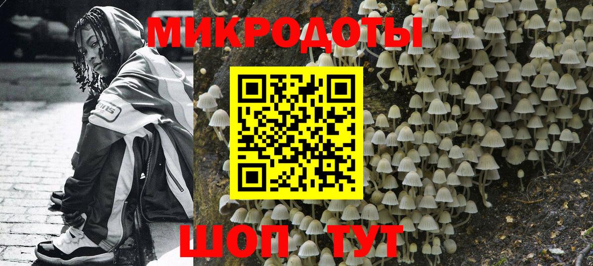 Псилоцибиновые грибы мухоморы Тихвин