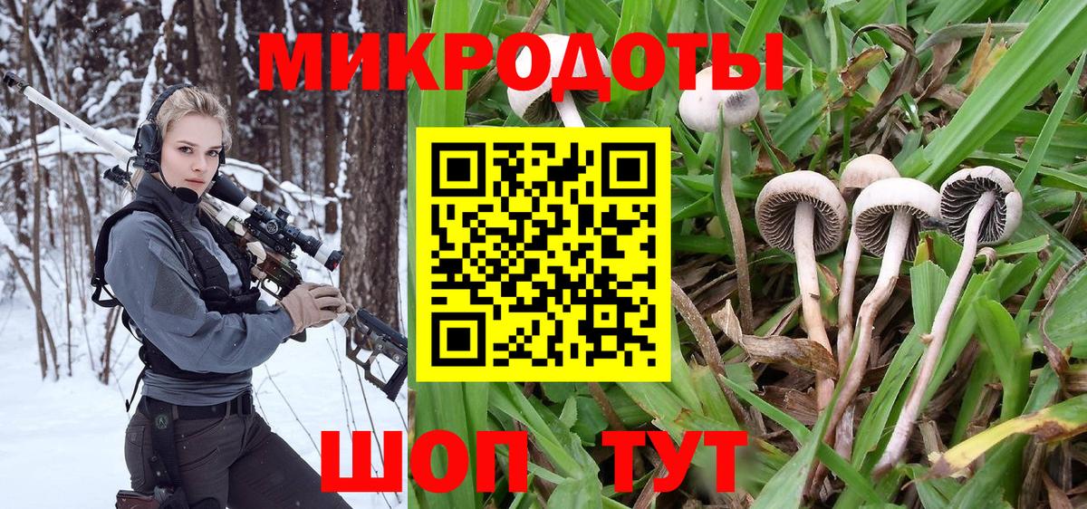 Псилоцибиновые грибы Magic Shrooms  купить наркоту  Тихвин  Псилоцибиновые грибы прущие грибы  Вход с VPN 